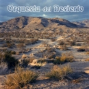 Orquesta del desierto - Vinyl