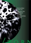 Celestial Subway Lines/Salvaging Noise - DVD