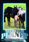The Third Planet: The Beginnings of Life in the Great Savannah - DVD