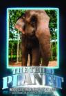 The Third Planet: Wood Cutting Elephants of Laos - DVD