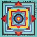 Perfect Harmony - CD