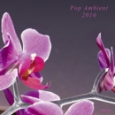 Pop Ambient 2016 - Vinyl