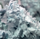 Pop Ambient 2017 - Vinyl