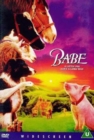 Babe - DVD