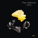 Pop Ambient 2024 - Vinyl