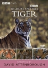 Wildlife Special: Tiger - The Elusive Princess - DVD