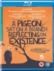 A   Pigeon Sat On a Branch Reflecting On Existence - Blu-ray