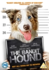 The Bandit Hound - DVD