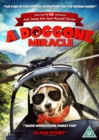 A   Doggone Miracle - DVD