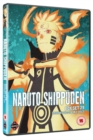 Naruto - Shippuden: Collection - Volume 29 - DVD