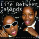 Life Between Islands - Soundsystem Culture: Black Musical Expression in the UK 1973-2006 - Vinyl