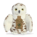 Eco Nation Snowy Owl - Book