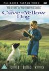 The Cave of the Yellow Dog - DVD