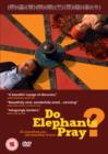 Do Elephants Pray? - DVD