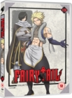 Fairy Tail: Collection 19 - DVD