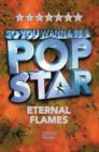 So You Wanna Be a Pop Star: Eternal Flames - DVD
