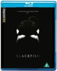 Blackfish - Blu-ray