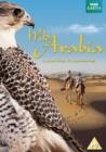 Wild Arabia - DVD