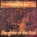 Slaughter of the Soul - Vinyl