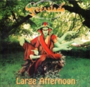 Large Afternoon - CD