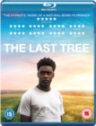The Last Tree - Blu-ray