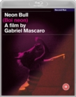 Neon Bull - Blu-ray
