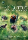 Big Little Journeys - DVD