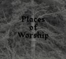 Places of Worship - Vinyl