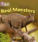 Real Monsters : Band 03/Yellow - Book