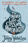 The Double Life of Cassiel Roadnight - Book
