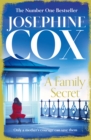 A Family Secret - eBook