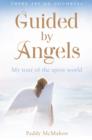 Guided By Angels : There Are No Goodbyes, My Tour of the Spirit World - eBook