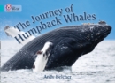 The Journey of Humpback Whales : Band 07/Turquoise - Book
