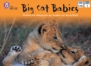 Big Cat Babies - eBook