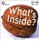 What's Inside - eBook