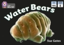 Water Bears - eBook