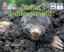 What's Underground : Band 04/Blue - eBook