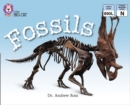 Fossils : Band 10/ White - eBook