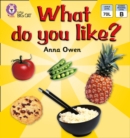 What Do You Like? : Band 02b/Red B - eBook