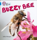 Buzzy Bees : Band 04/Blue - Book