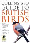 Collins BTO Guide to British Birds - Book