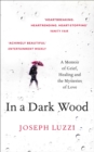 In a Dark Wood : A Memoir of Grief, Healing and the Mysteries of Love - Book