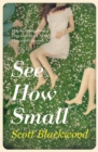 See How Small - eBook