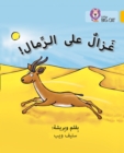 Gazelle on the Sand : Level 9 - Book