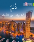 Dubai From the Sky : Level 11 - Book