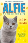 Alfie Cat In Trouble - Book