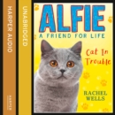 Alfie Cat In Trouble - eAudiobook