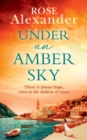Under an Amber Sky - eBook