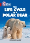 The Life Cycle of a Polar Bear : Band 14/Ruby - Book