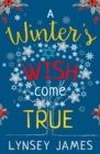 A Winter's Wish Come True - eBook